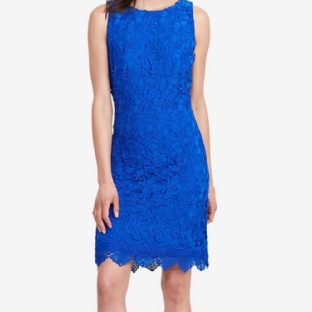 Lauren Ralph Lauren Royal Blue Floral Lace Sheath Summer Cocktail Dress Size 6